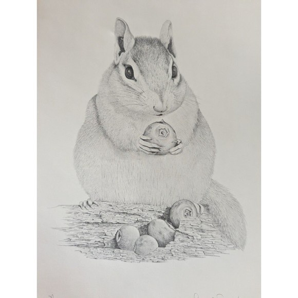 Chipmunk art print Signed 187/850 - Picture 4 of 4